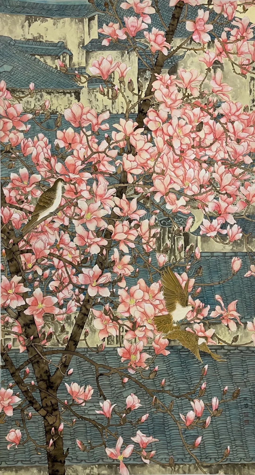 圖片