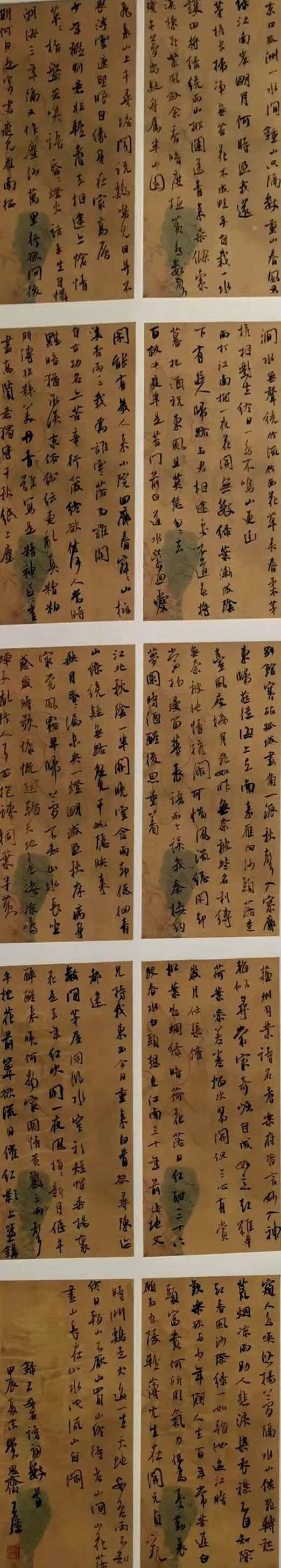 圖片