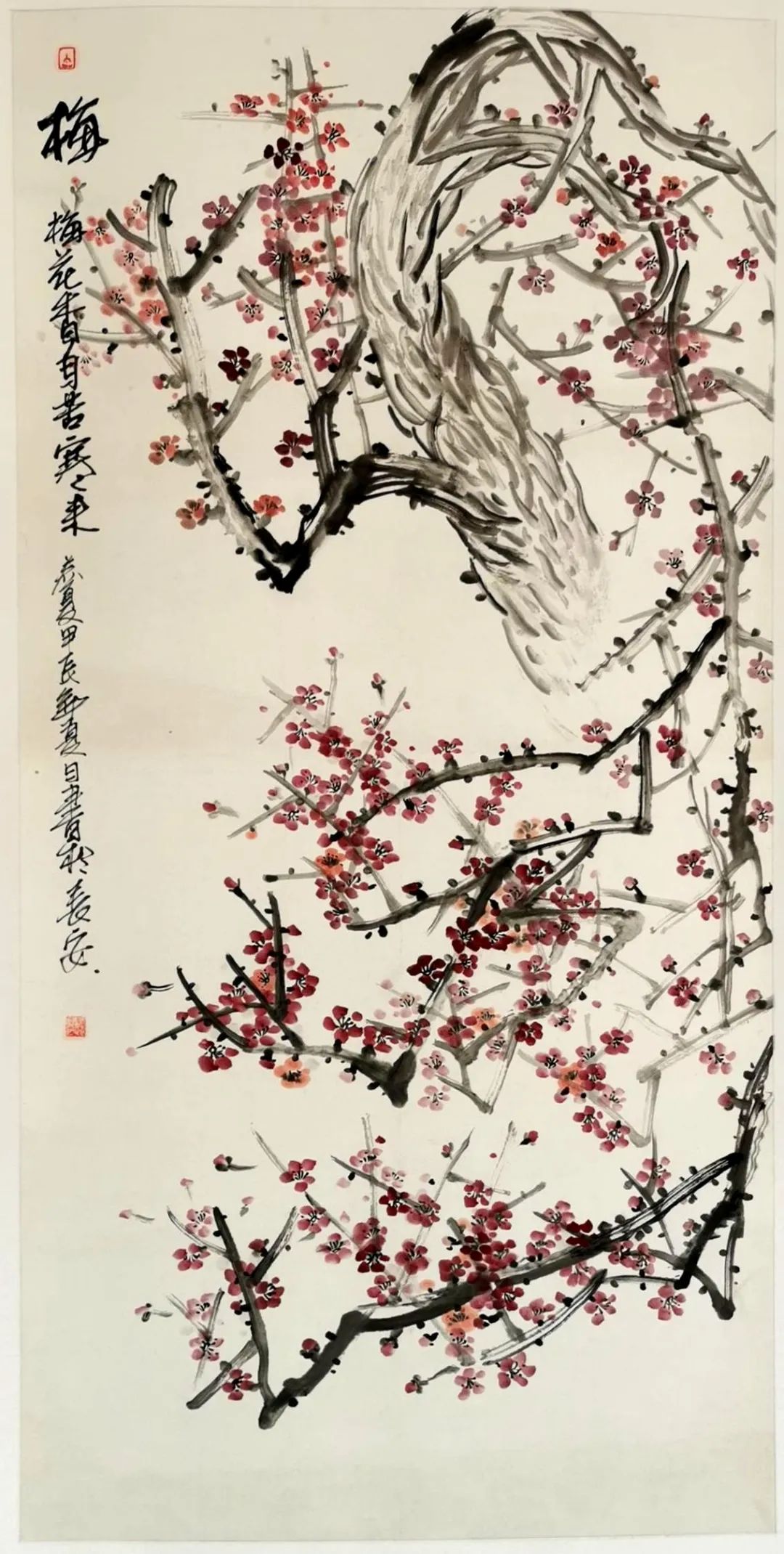 圖片